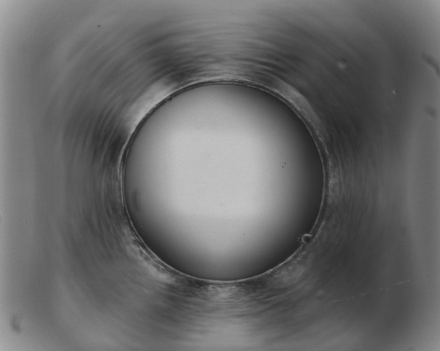 X0000103441242200809191717