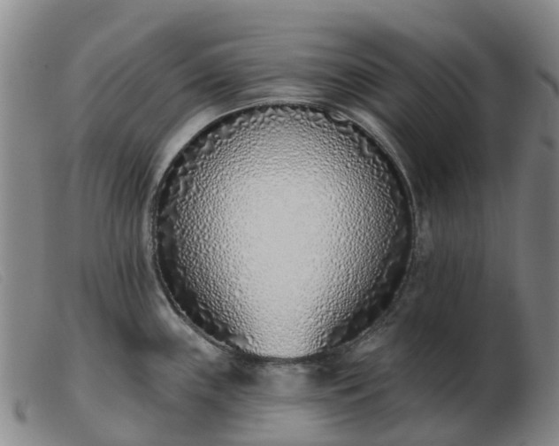 X0000103441243200809191717