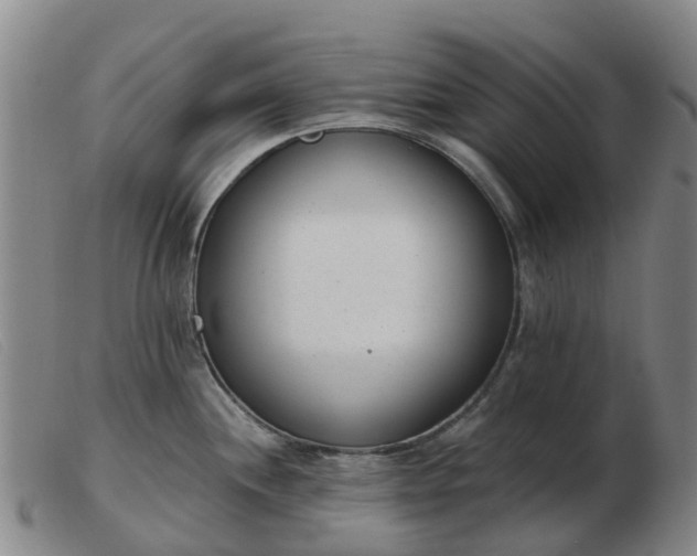 X0000103441244200809191717