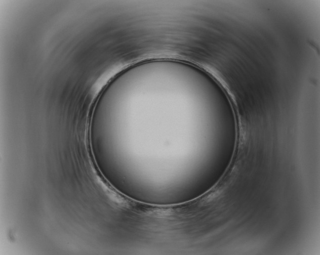 X0000103441245200809191717