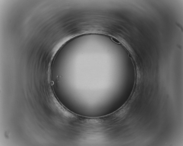 X0000103441246200809191717
