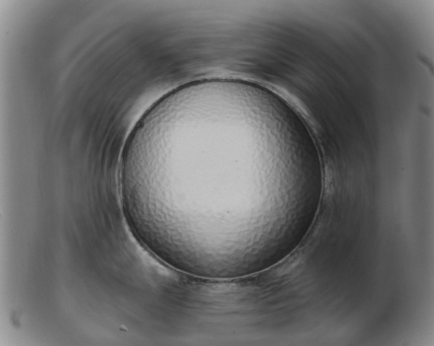 X0000103441247200809191717