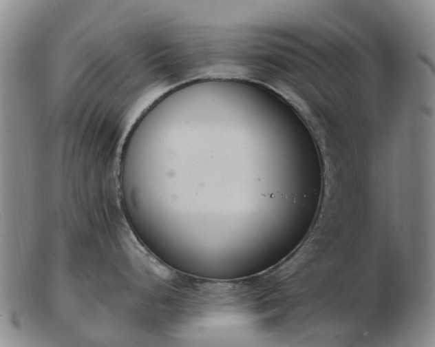 X0000103441248200809191717