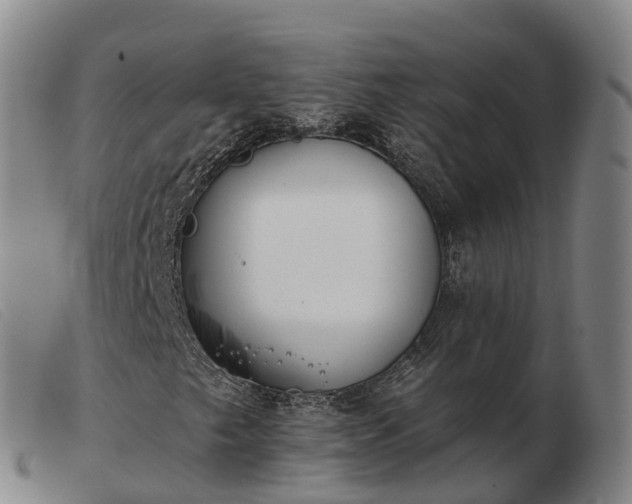 X0000103441249200809191716