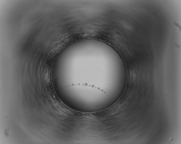 X0000103441250200809191716