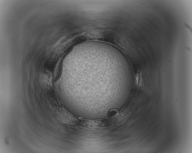 X0000103441251200809191716