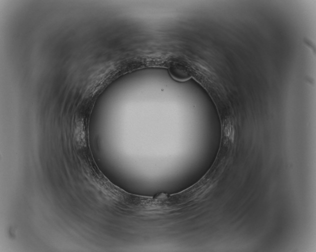 X0000103441252200809191716