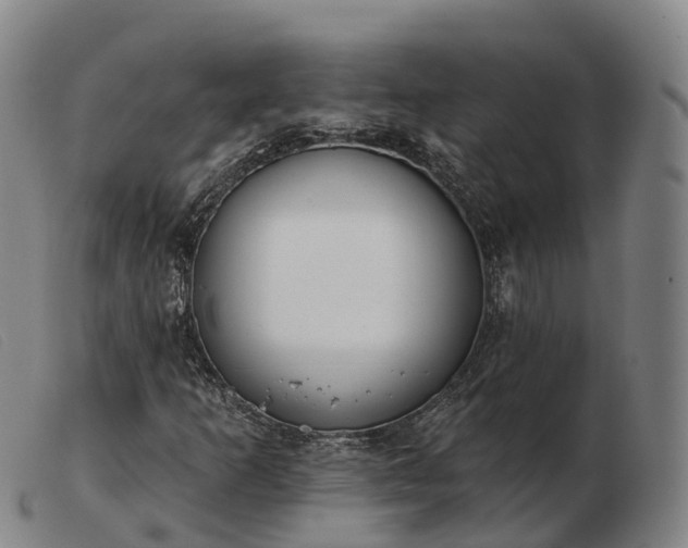 X0000103441253200809191716