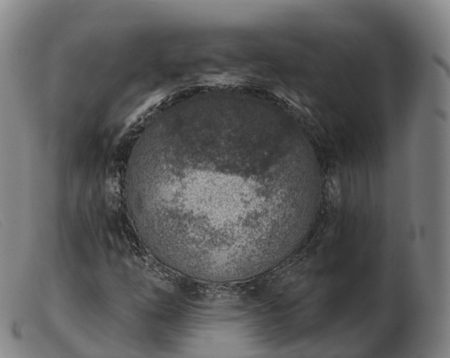 X0000103441254200809191716