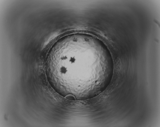 X0000103441255200809191716