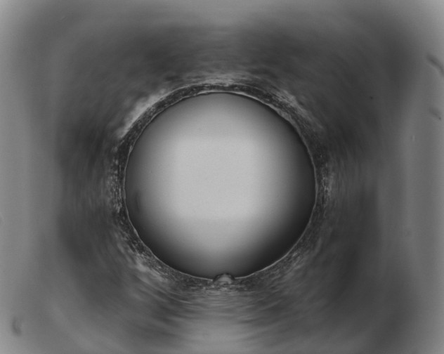 X0000103441256200809191716