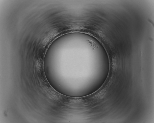 X0000103441257200809191716