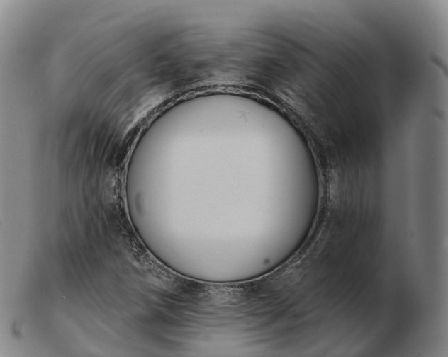 X0000103441258200809191716