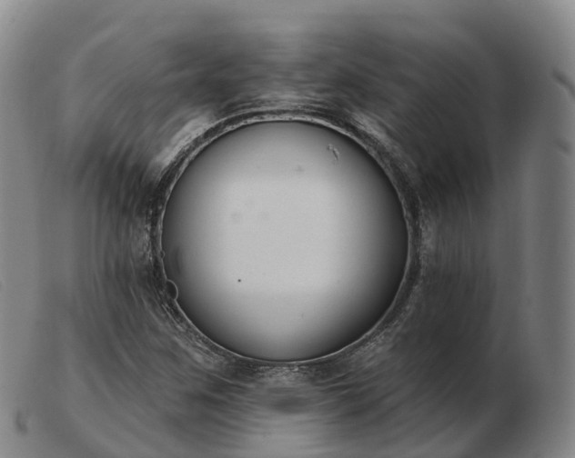 X0000103441259200809191716