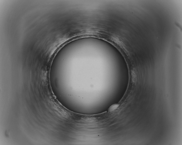 X0000103441260200809191716