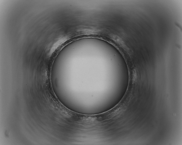 X0000103441261200809191716