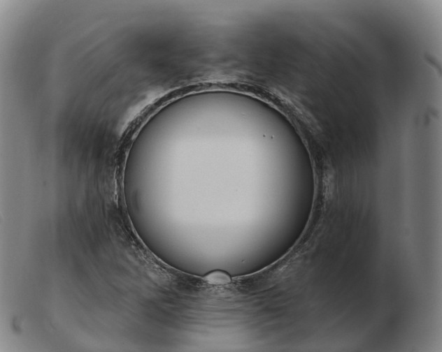 X0000103441262200809191716