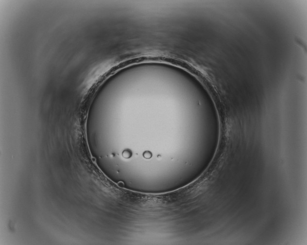 X0000103441263200809191716