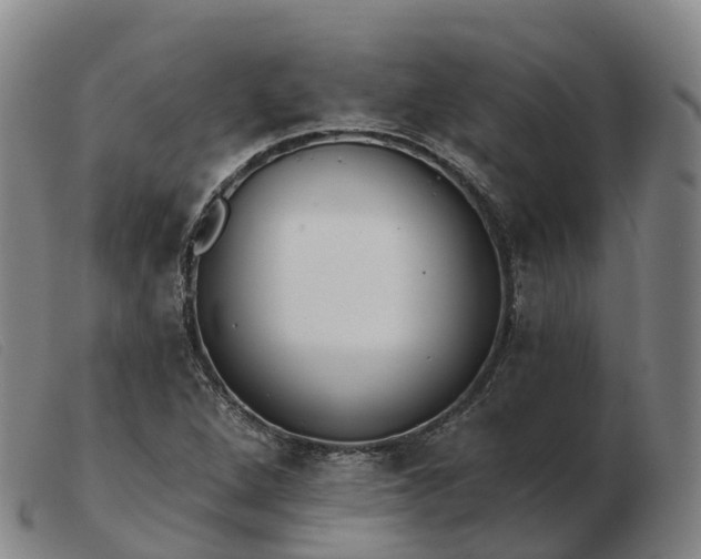 X0000103441264200809191716