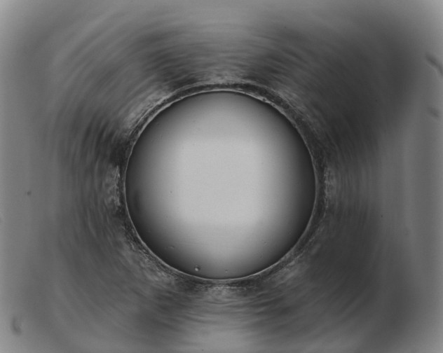 X0000103441265200809191716