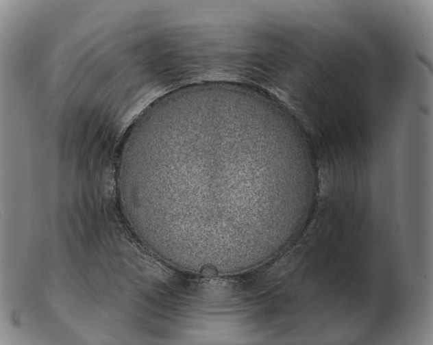 X0000103441266200809191716
