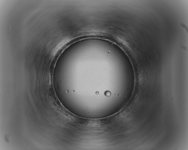 X0000103441267200809191716