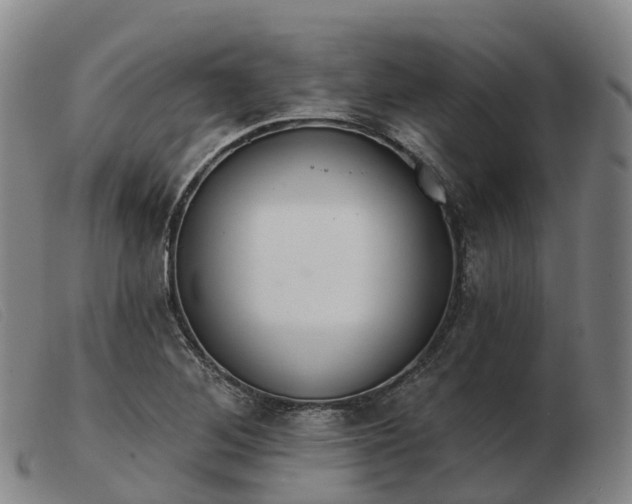 X0000103441268200809191716