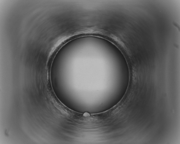 X0000103441270200809191716