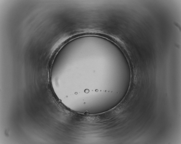 X0000103441271200809191716