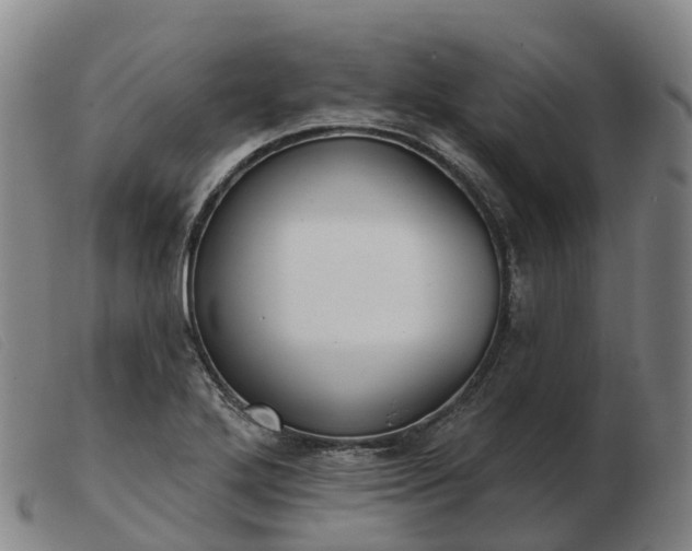 X0000103441272200809191716