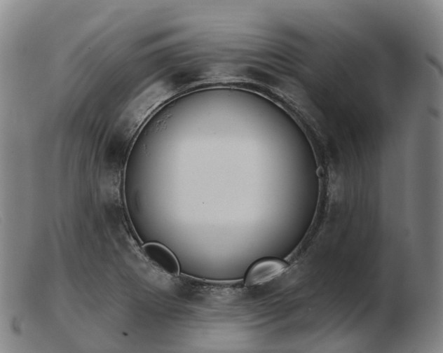 X0000103441273200809191716