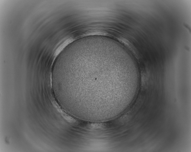 X0000103441274200809191716