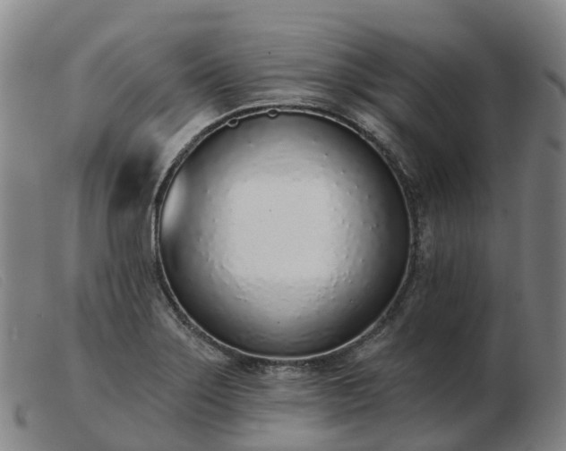 X0000103441275200809191716