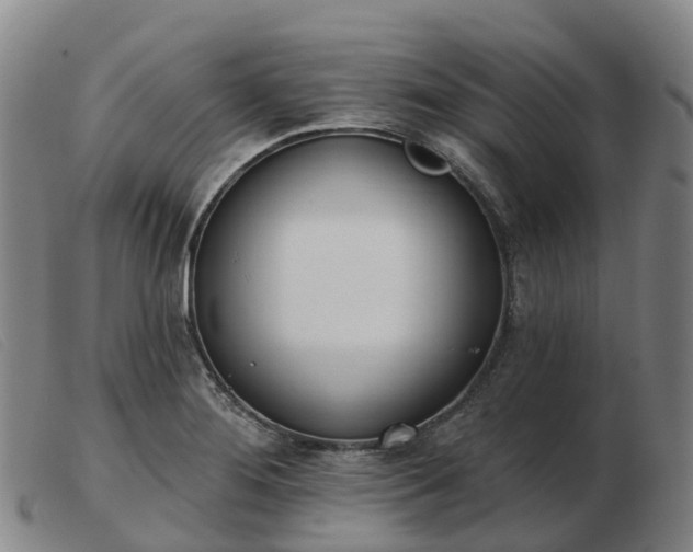 X0000103441276200809191716