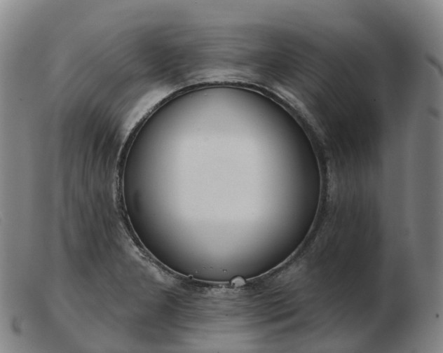 X0000103441277200809191716