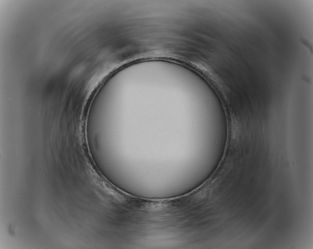X0000103441278200809191716