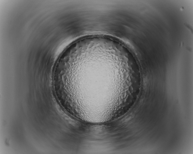 X0000103441279200809191716