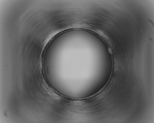 X0000103441280200809191716