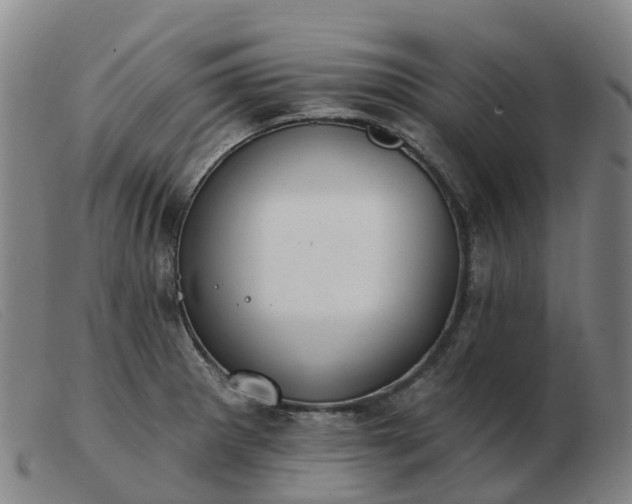 X0000103441281200809191716