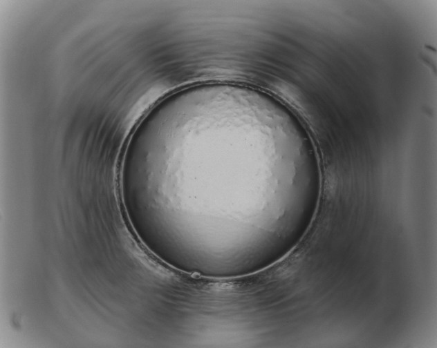 X0000103441283200809191716