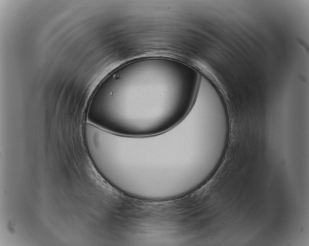 X0000103441284200809191716