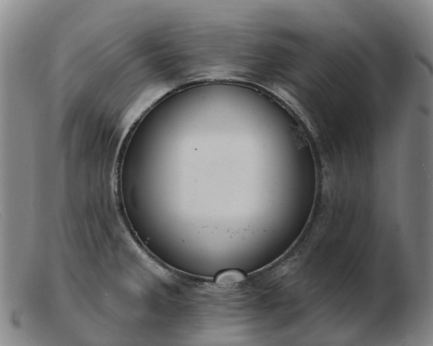 X0000103441285200809191716