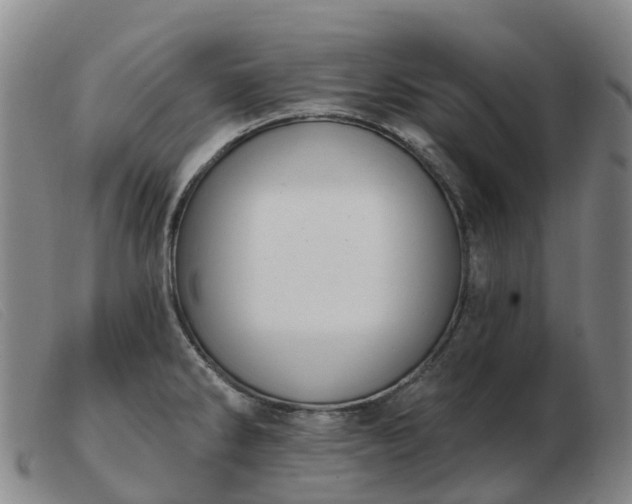 X0000103441286200809191716