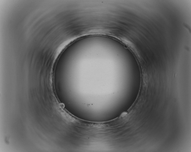X0000103441288200809191715