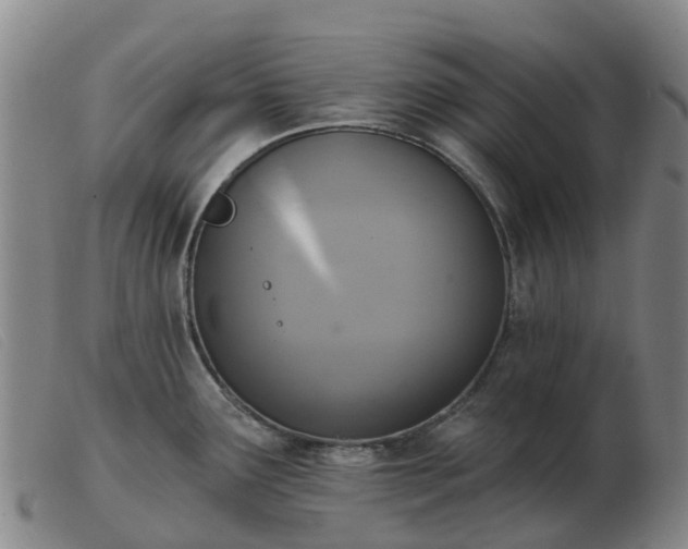X0000103441291200809191715