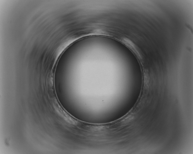 X0000103441292200809191715