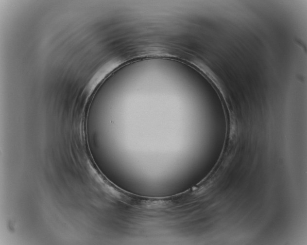 X0000103441293200809191715