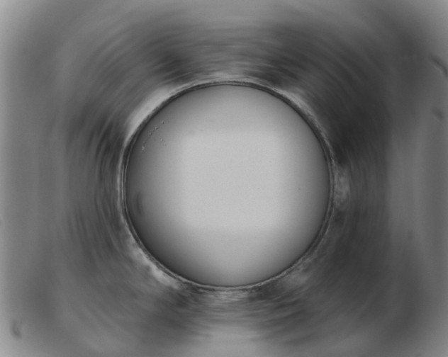 X0000103441294200809191715