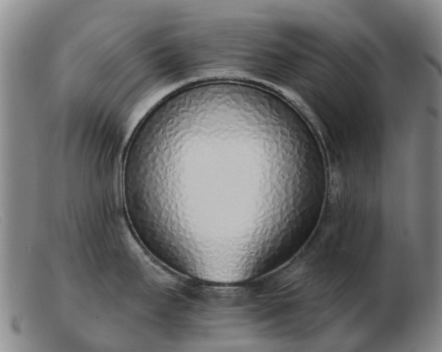 X0000103441295200809191715
