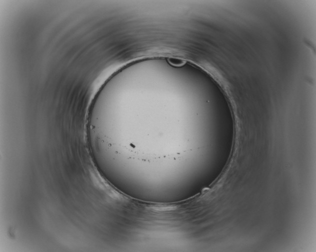 X0000103441296200809191715